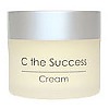 C�the SUCCESS: ����� ���������� �
